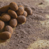 Amandes enrobées de chocolat noir intense.