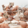 Assortiment de chocolats de Pâques