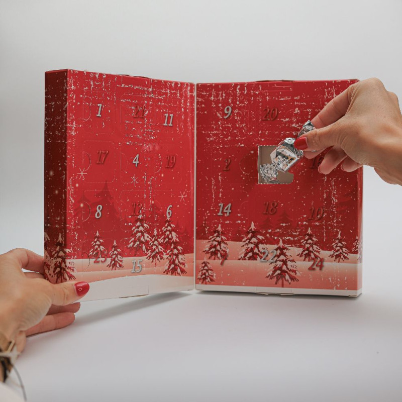 Calendrier de l'Avent livre Calendrier de l'Avent livre